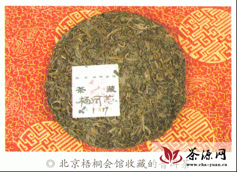 北京梧桐会馆收藏的普洱茶