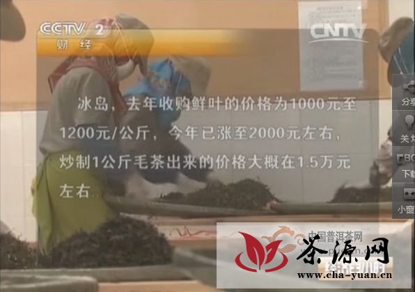 【CCTV2】普洱疯抢老树茶，品饮消费市场才是出路