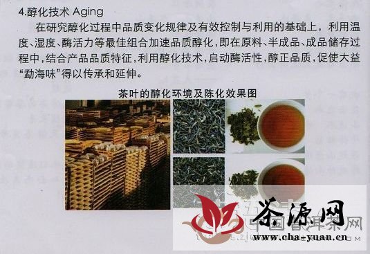 大益茶第三代发酵技术
