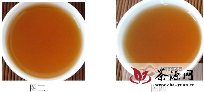 七彩云南“1889熟茶”产品品鉴