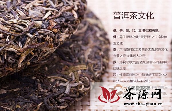 推动“莞藏”概念，更是主推普洱茶老茶北方市场开拓