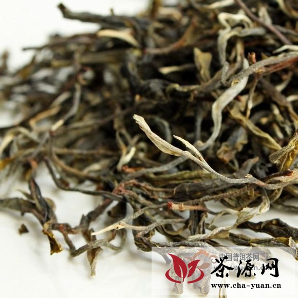 普洱茶生毛茶与生散茶——现行普洱茶标准的重要缺失