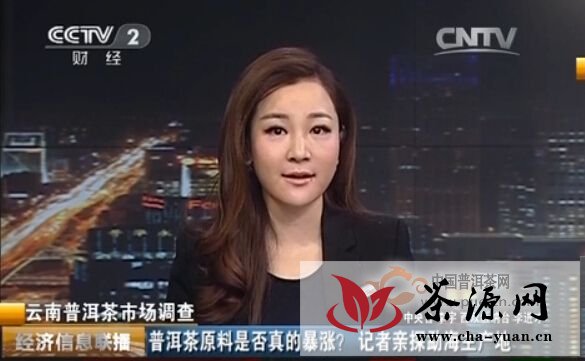 CCTV2【经济信息联播】普洱茶原料是否真的暴涨？视频