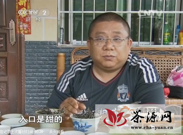 【CCTV-2】探寻一泡难求千金难买的深林古茶树（二）