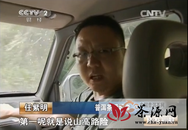 【CCTV-2】“普洱江湖”水深莫测 老手也曾交过十几万元“学费”（一）