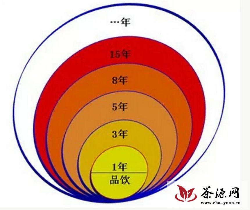 邓增永：普洱茶市场未来发展方向展望