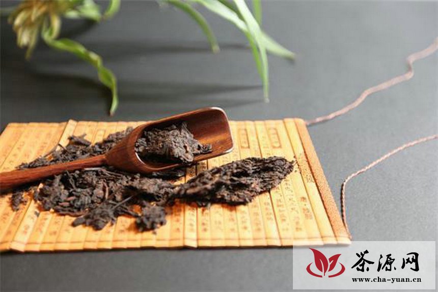 普洱茶 市场 广州 特征 价值 