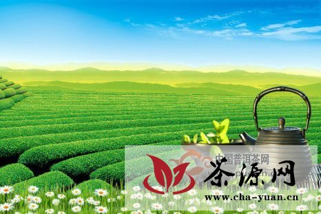 中国十大普洱茶品牌　