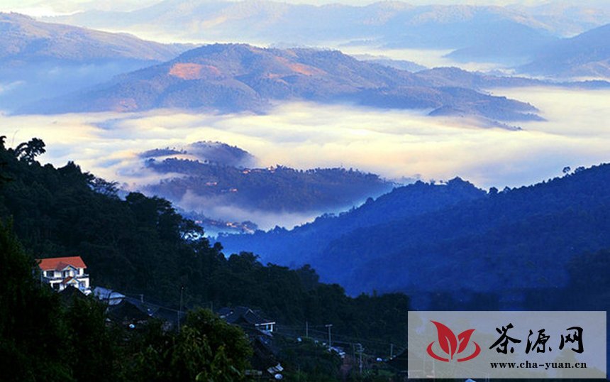 第七届勐海茶王节开幕 勐海建设中国普洱茶第一县